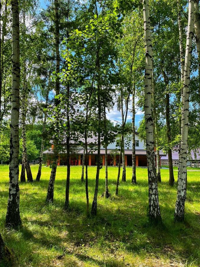 Садиба Бабина Лоза Lisove  Exterior foto